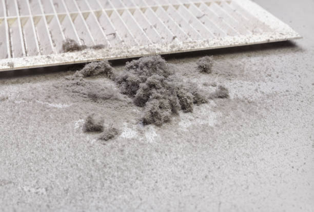 Best Dryer Vent Cleaning Services  in Thorp, WI