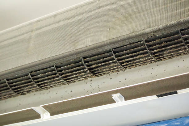 Best Local Air Duct Cleaning Services  in Thorp, WI